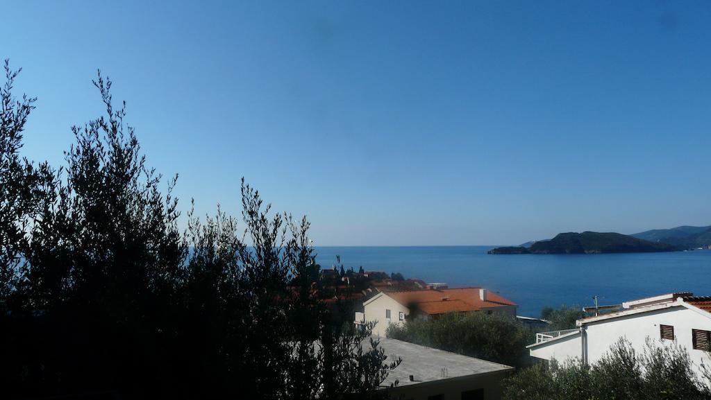 Guest House Zivkovic Sveti Stefan Buitenkant foto
